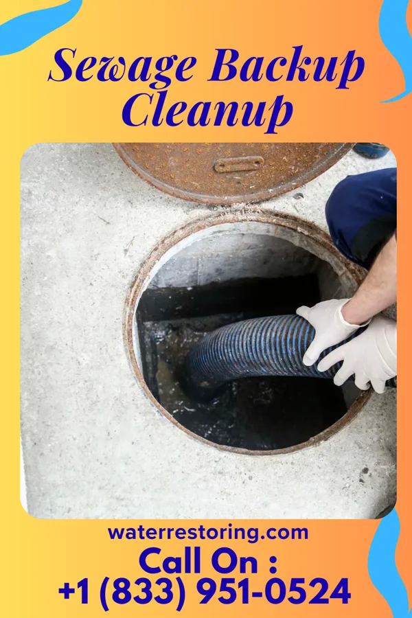 Sewage Backup Cleanup in Lakewood Village, TX