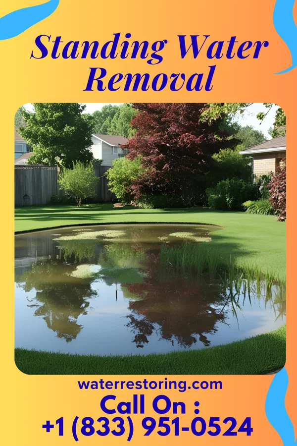 Standing Water Removal in Lakewood Village, TX